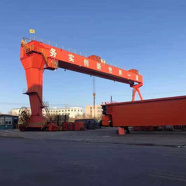 Double beam gantry crane