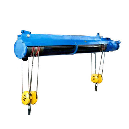 Double hook electric hoist